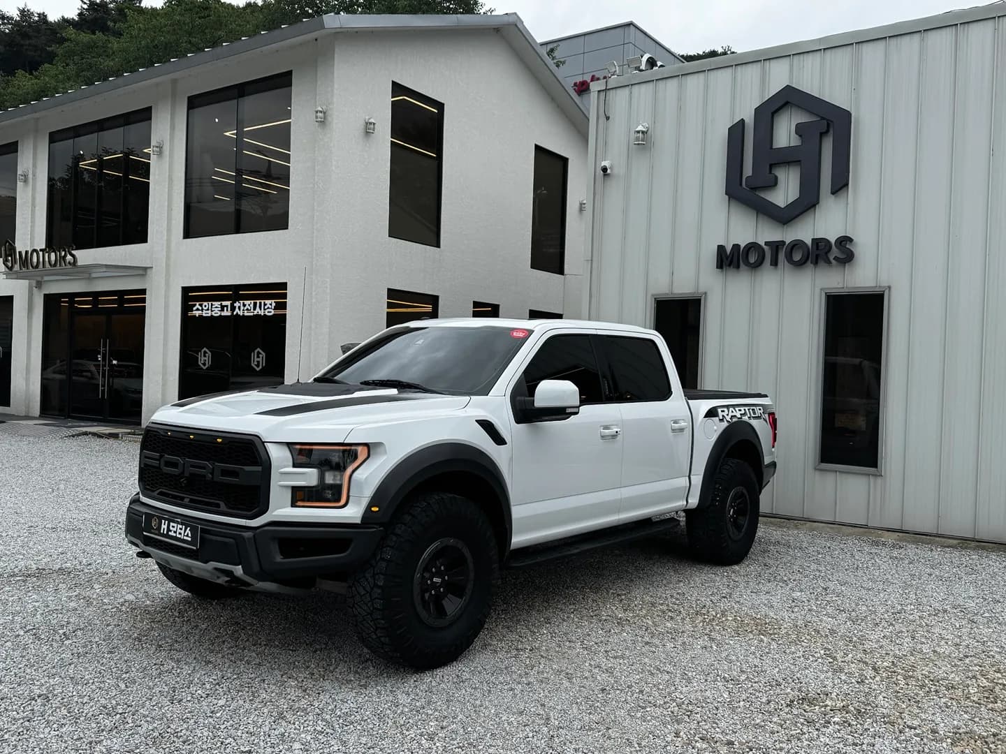 Ford F150 Raptor 대표 사진
