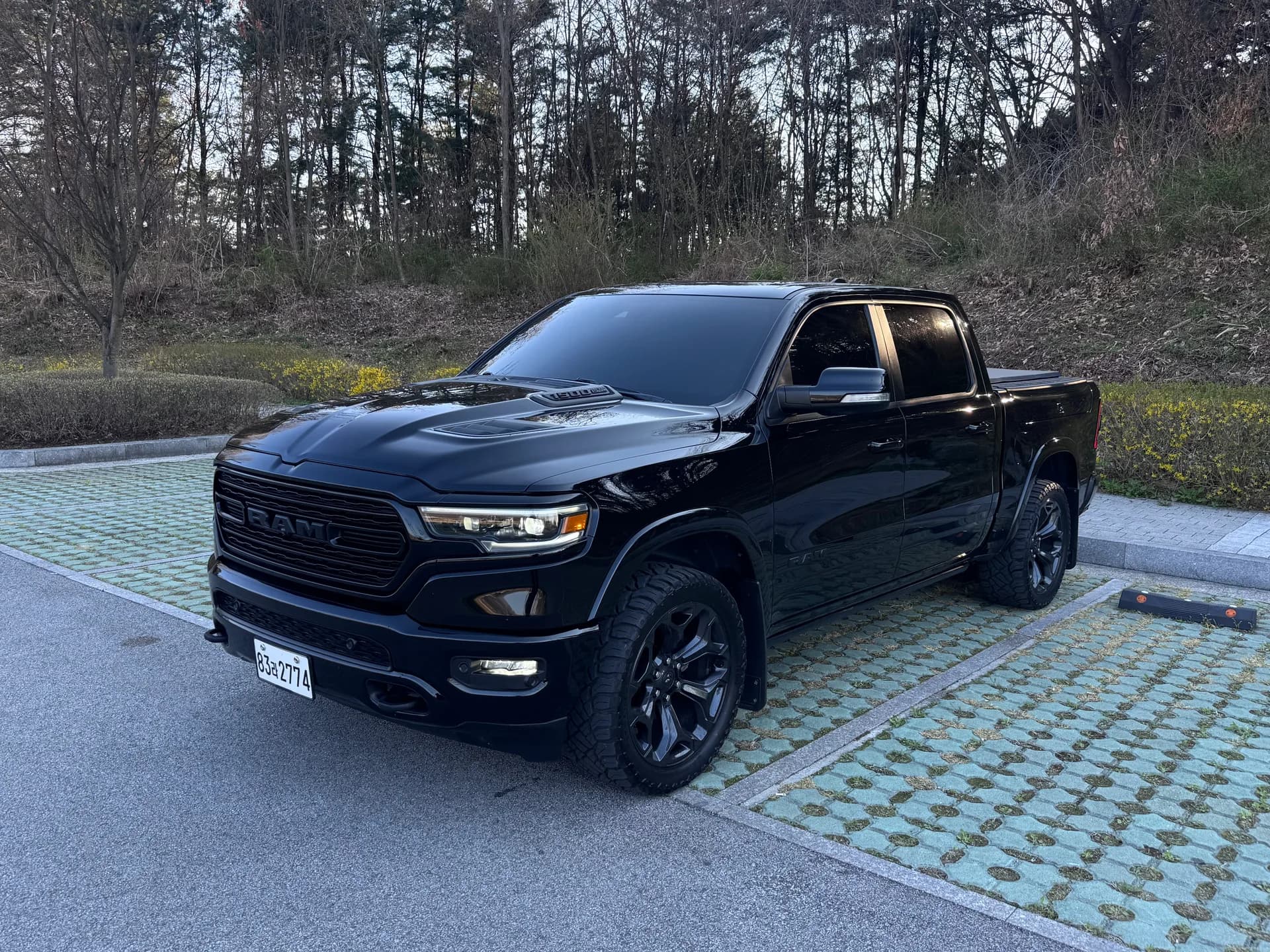 Dodge Ram Limited Night Edition 대표 사진